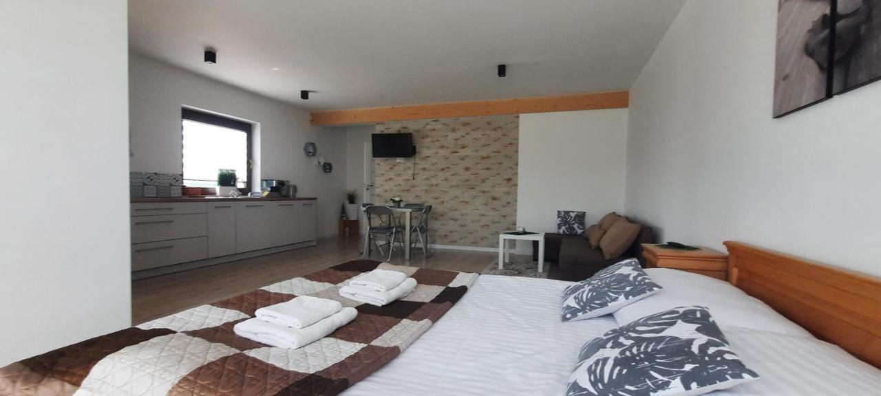 צ'ארני דונאייץ Apartamenty U Piotra מראה חיצוני תמונה