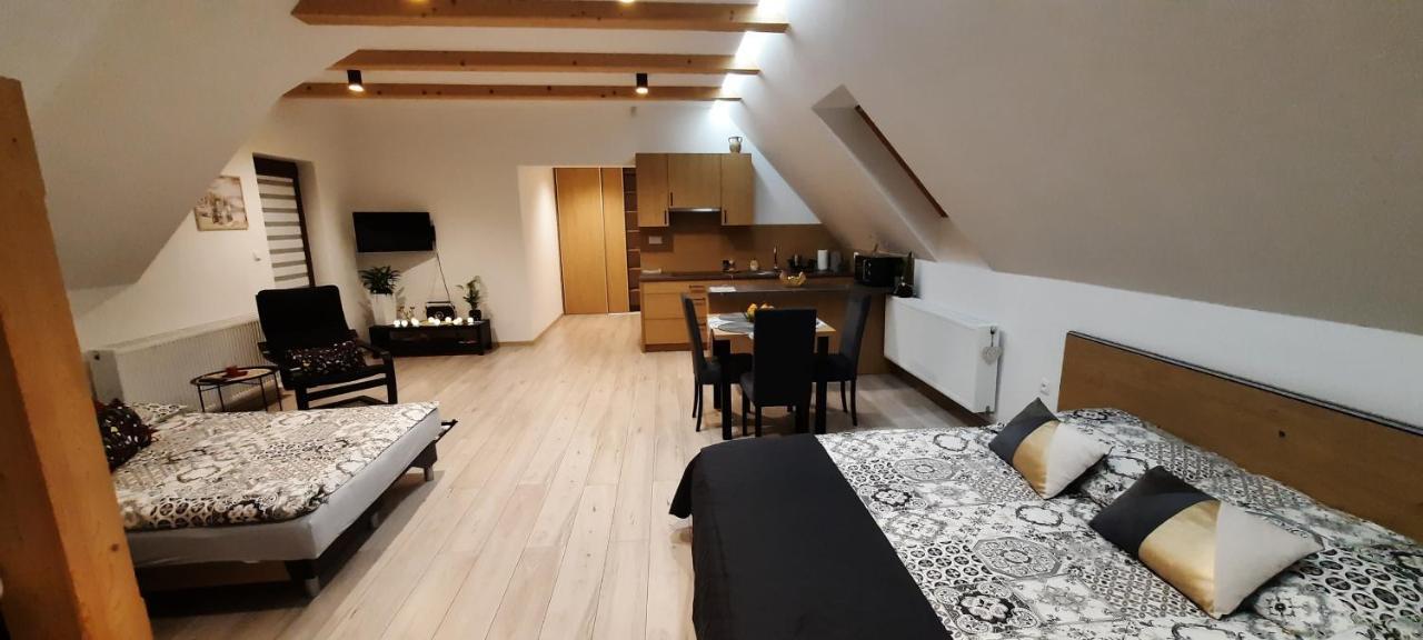 צ'ארני דונאייץ Apartamenty U Piotra מראה חיצוני תמונה